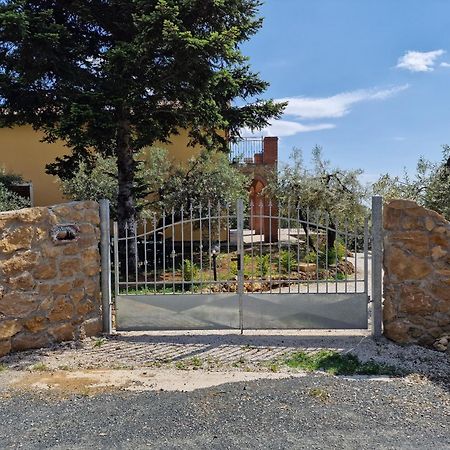 Apartament Il Panorama Montescudaio Zewnętrze zdjęcie