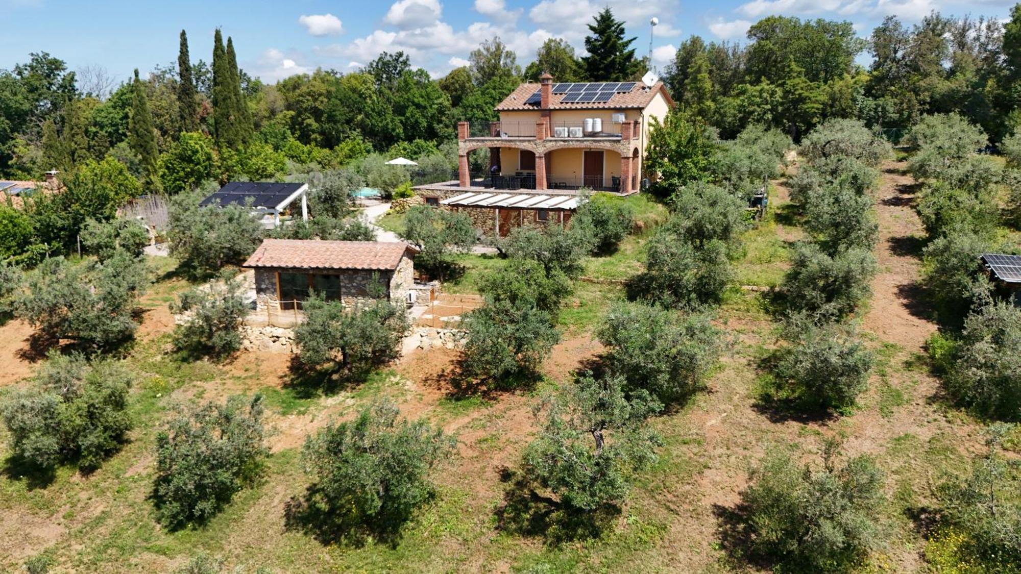 Apartament Il Panorama Montescudaio Zewnętrze zdjęcie