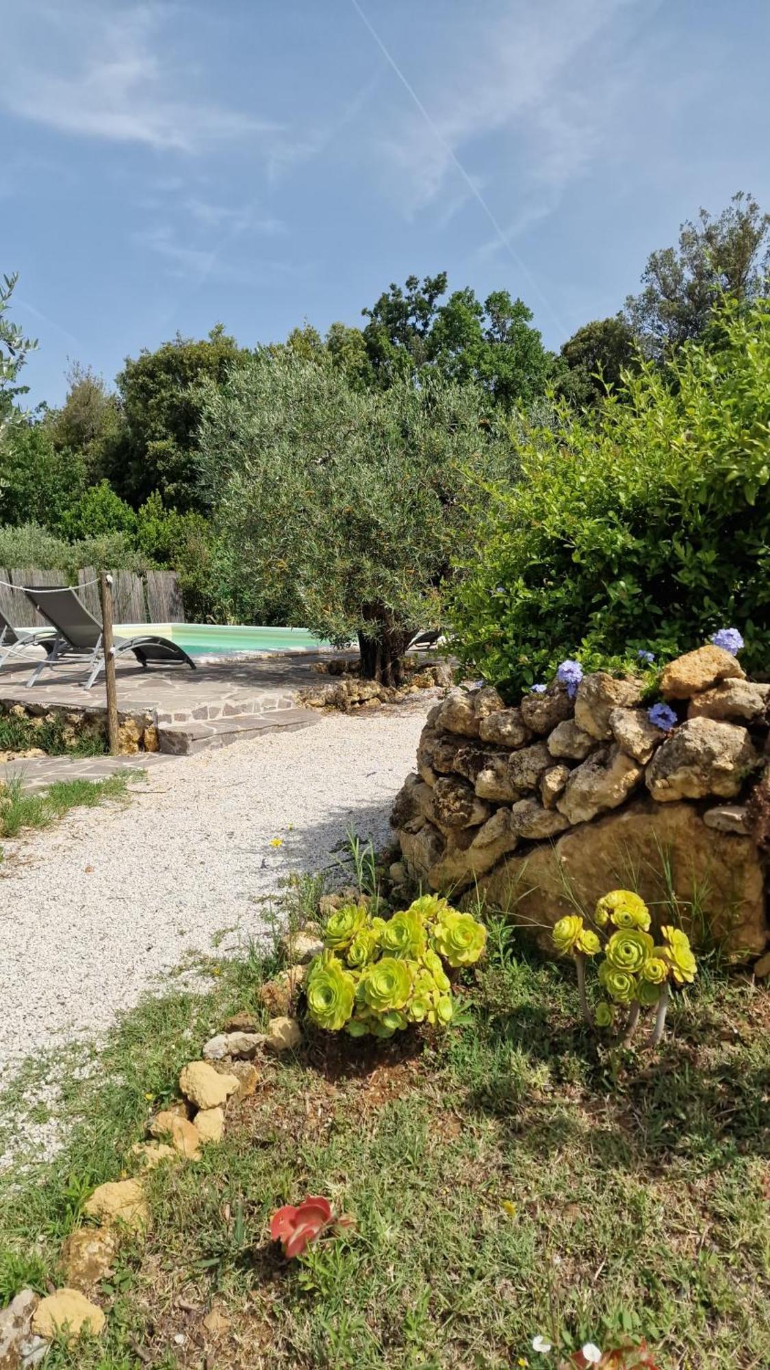Apartament Il Panorama Montescudaio Zewnętrze zdjęcie