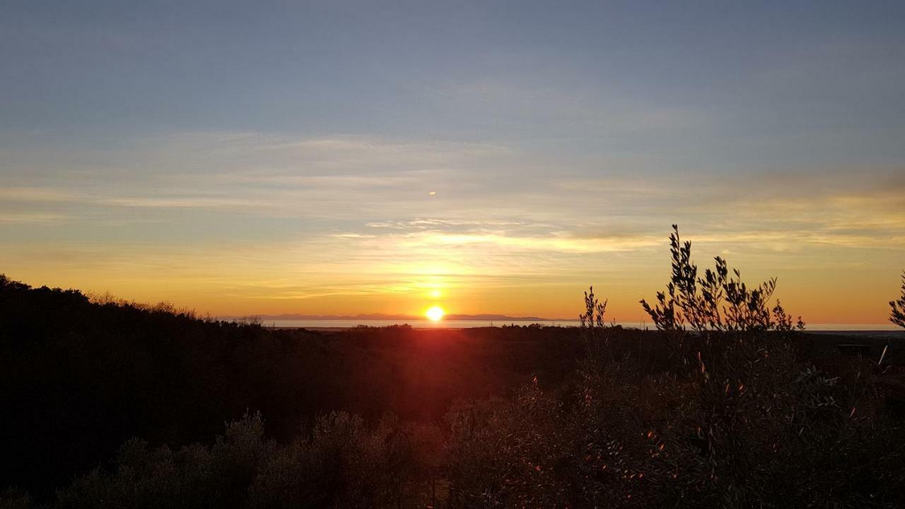 Apartament Il Panorama Montescudaio Zewnętrze zdjęcie